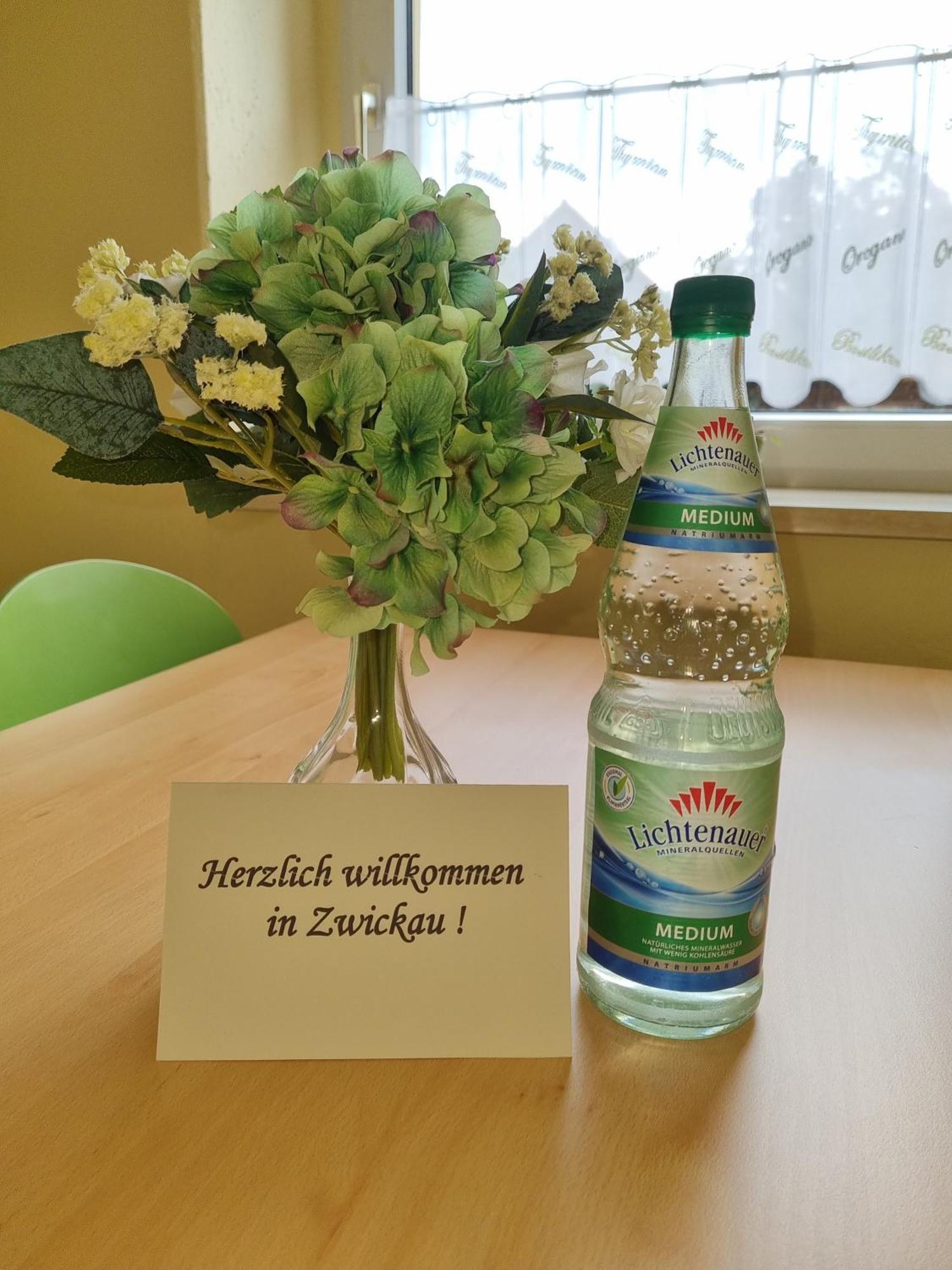 Ferienwohnung Im Zentrum Zwickaus Екстер'єр фото